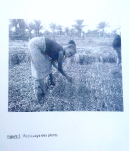 Actions humanitaires locales : comment soutenir durablement les populations vulnérables